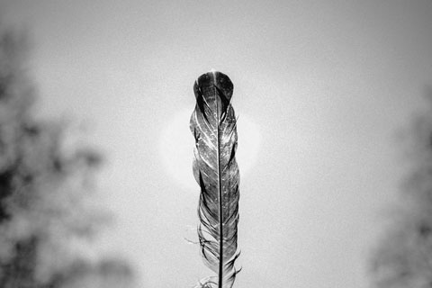 image and text 3.jpg